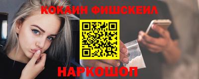 мдпв Камышлов