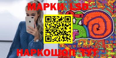 мдпв Камышлов