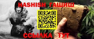 мдпв Камышлов