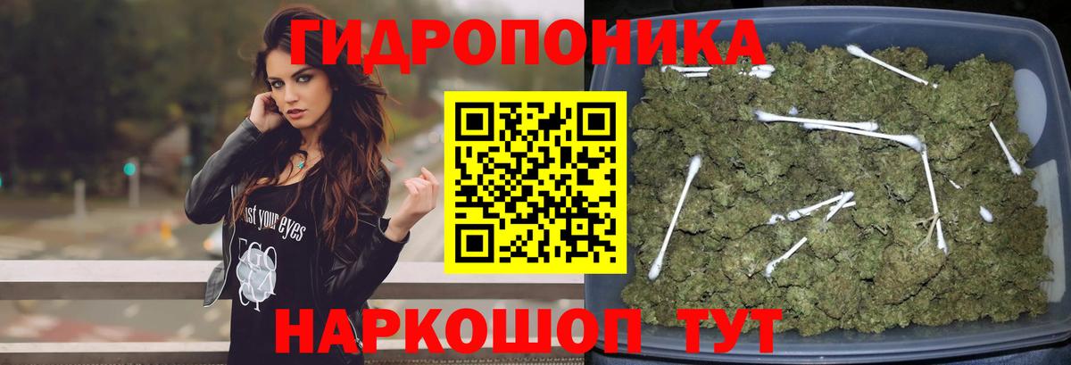 Шишки марихуана MAZAR  Канабис VHQ  Бошки Шишки марихуана  Вход с VPN  Кропоткин  Канабис тримм 